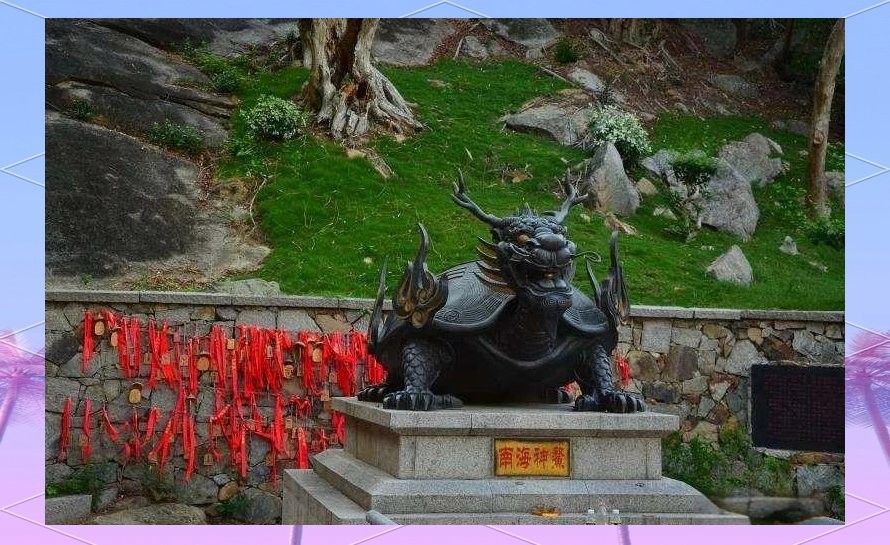 龍龜圖片高清大圖尺寸范圍