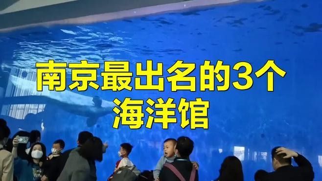 南京開水族店怎么樣？加盟祥龍魚場賣龍魚市場怎樣？