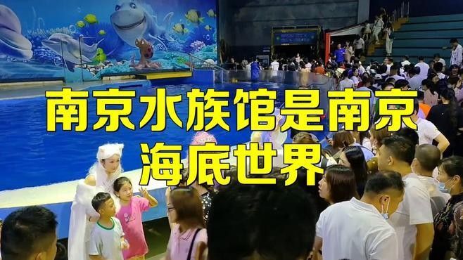 南京開水族店怎么樣？加盟祥龍魚場賣龍魚市場怎樣？