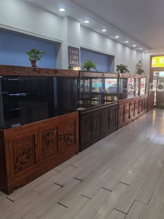 密云開水族店怎么樣？加盟祥龍魚場賣龍魚市場怎樣？