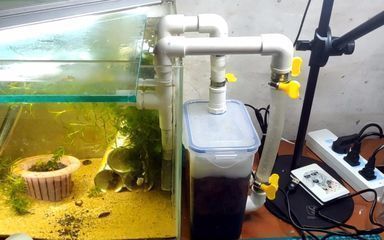 自制魚缸過濾器循環(huán)水不用電（如何利用風能制作魚缸過濾器）