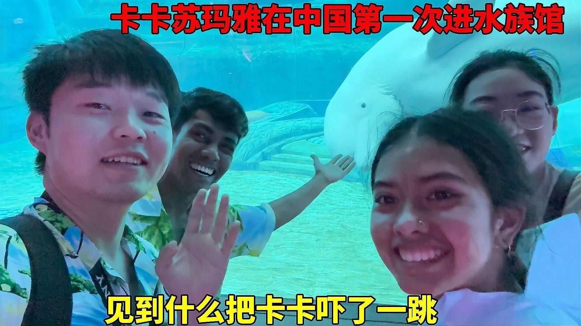 海南開水族店怎么樣？加盟祥龍魚場賣龍魚市場怎樣？