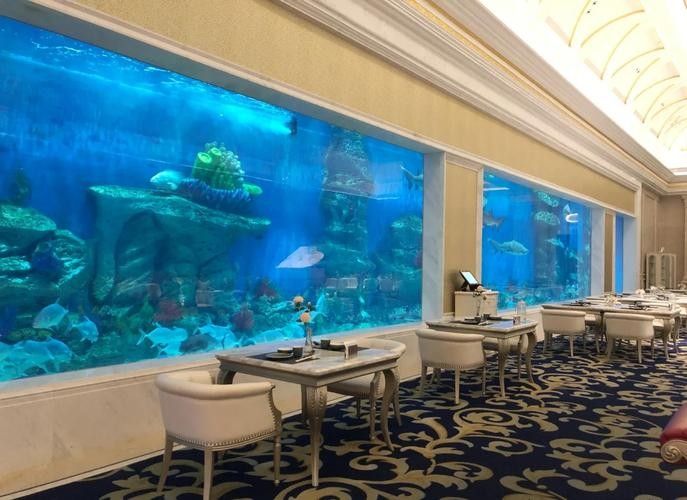 海南開水族店怎么樣？加盟祥龍魚場賣龍魚市場怎樣？