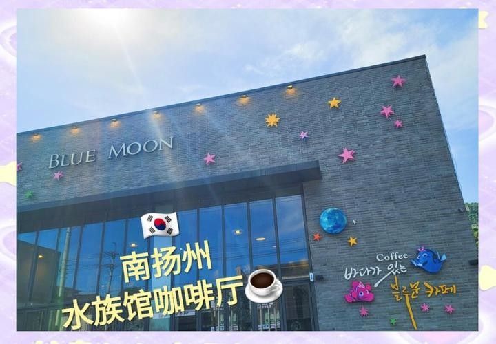揚州開水族店怎么樣？加盟祥龍魚場賣龍魚市場怎樣？