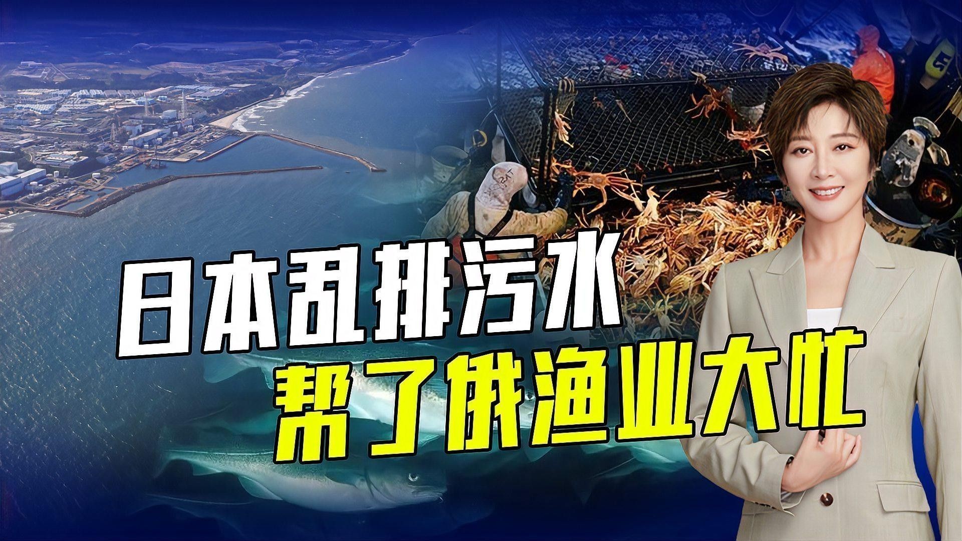 江北開水族店怎么樣？加盟祥龍魚場賣龍魚市場怎樣？