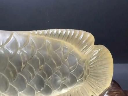 有哪些著名的金龍魚寶石作品？