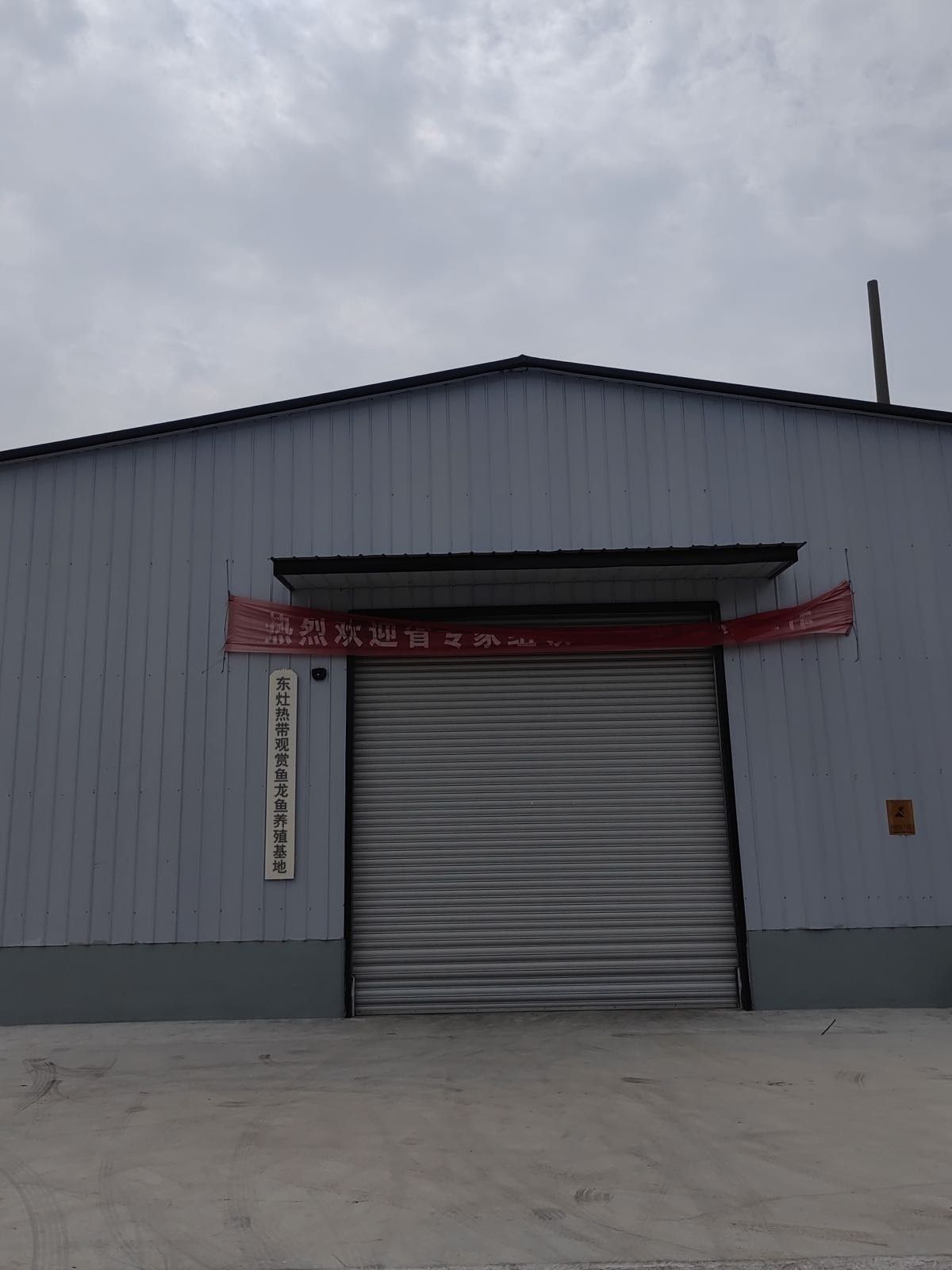 九臺開水族店怎么樣？加盟祥龍魚場賣龍魚市場怎樣？