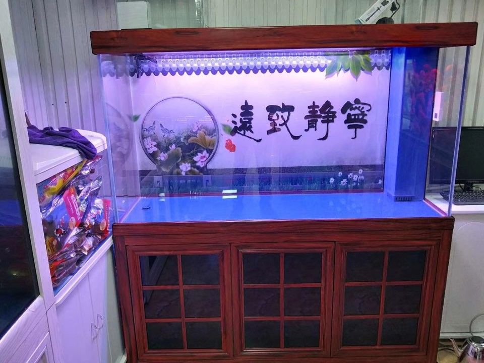 武隆開(kāi)水族店怎么樣？加盟祥龍魚(yú)場(chǎng)賣(mài)龍魚(yú)市場(chǎng)怎樣？