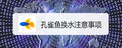 紅龍魚有多少種類（紅龍魚有多少種類圖片）