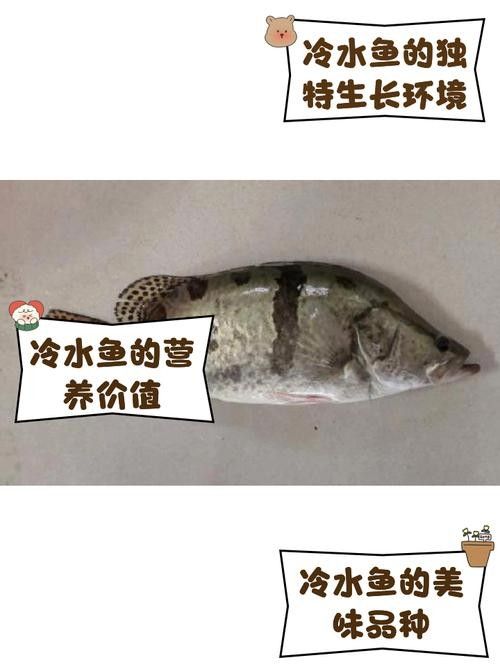 牡丹江開水族店怎么樣?加盟祥龍魚場賣龍魚市場怎樣? 水族館百科(水族館加盟) 第5張 牡丹江開水族店怎么樣?加盟祥龍魚場賣龍魚市場怎樣? 牡丹江開水族店怎么樣?加盟祥龍魚場賣龍魚市場怎樣? 水族館百科(水族館加盟) 第5張