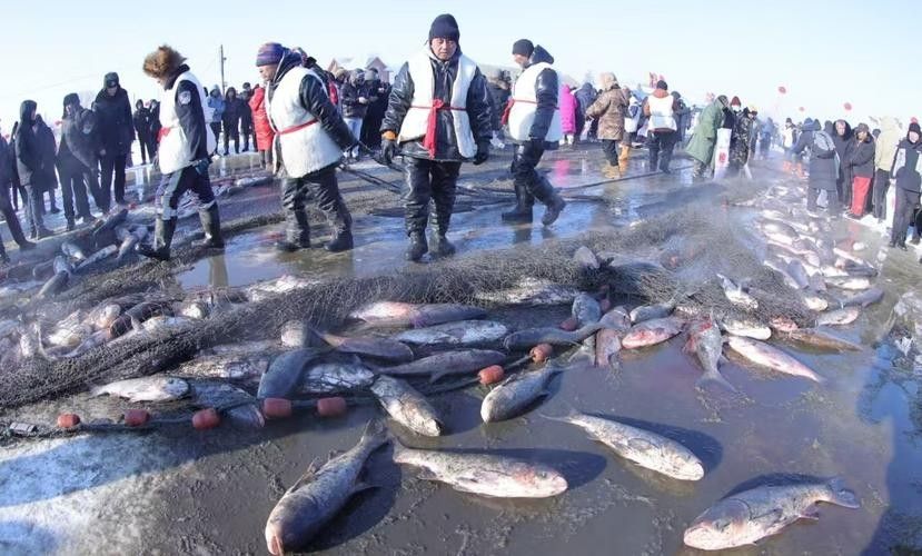 牡丹江開水族店怎么樣?加盟祥龍魚場賣龍魚市場怎樣? 水族館百科(水族館加盟) 第6張 牡丹江開水族店怎么樣?加盟祥龍魚場賣龍魚市場怎樣? 牡丹江開水族店怎么樣?加盟祥龍魚場賣龍魚市場怎樣? 水族館百科(水族館加盟) 第6張