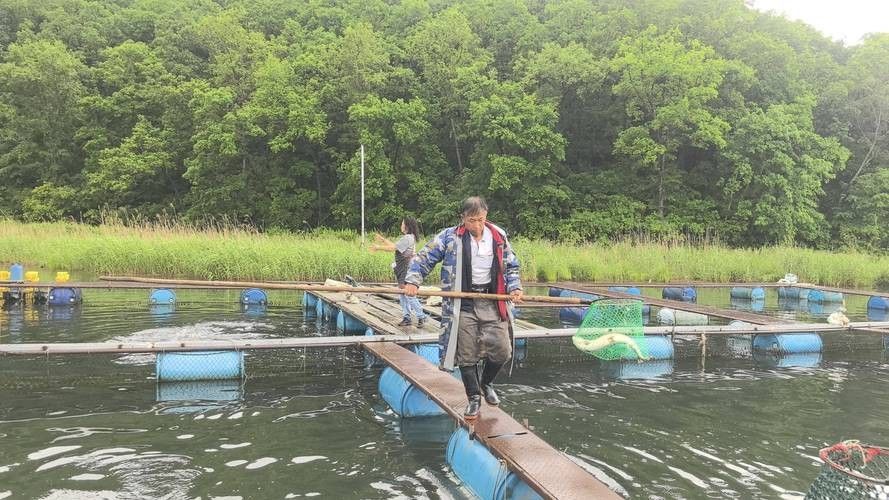 牡丹江開水族店怎么樣？加盟祥龍魚場賣龍魚市場怎樣？