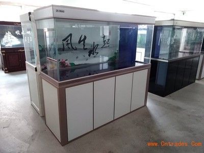 魚缸龍魚繁殖：幼年龍魚喂養的要點
