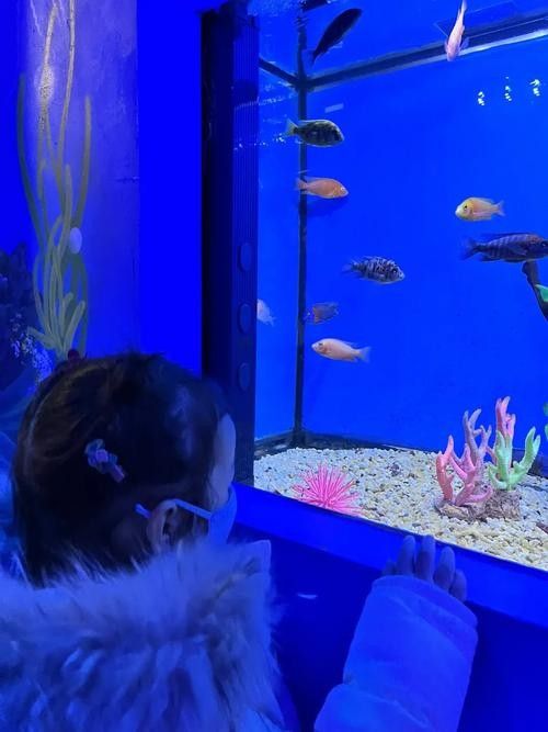 伊寧開水族店怎么樣？加盟祥龍魚場賣龍魚市場怎樣？