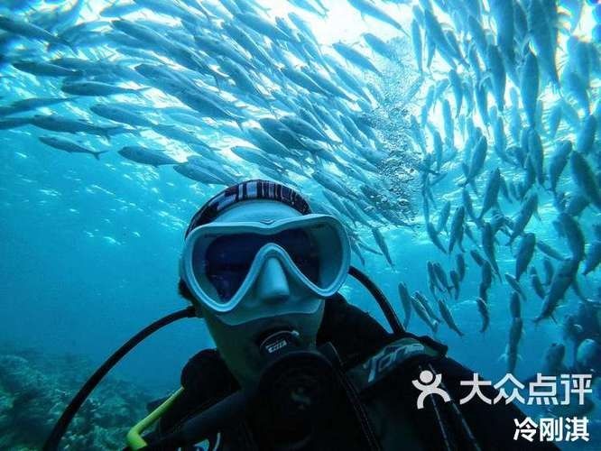 伊寧開水族店怎么樣？加盟祥龍魚場賣龍魚市場怎樣？