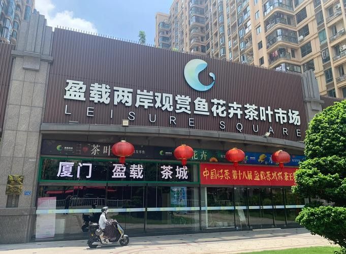 廈門開水族店怎么樣？加盟祥龍魚場(chǎng)賣龍魚市場(chǎng)怎樣？