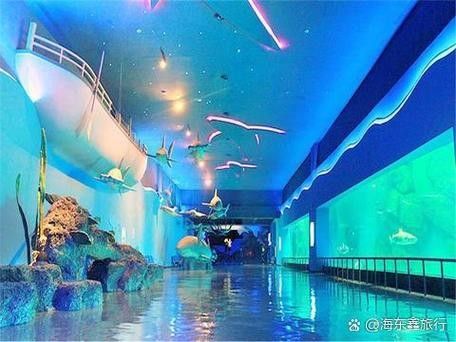 海東開水族店怎么樣？加盟祥龍魚場賣龍魚市場怎樣？