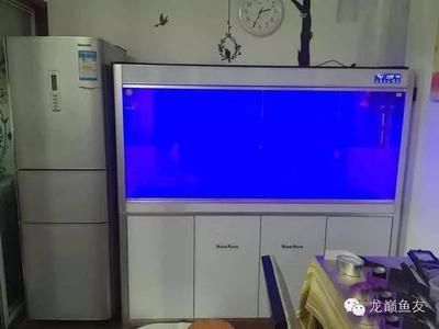 龍魚缸需要開燈嗎冬天：冬季養龍魚時，魚缸需要開燈嗎