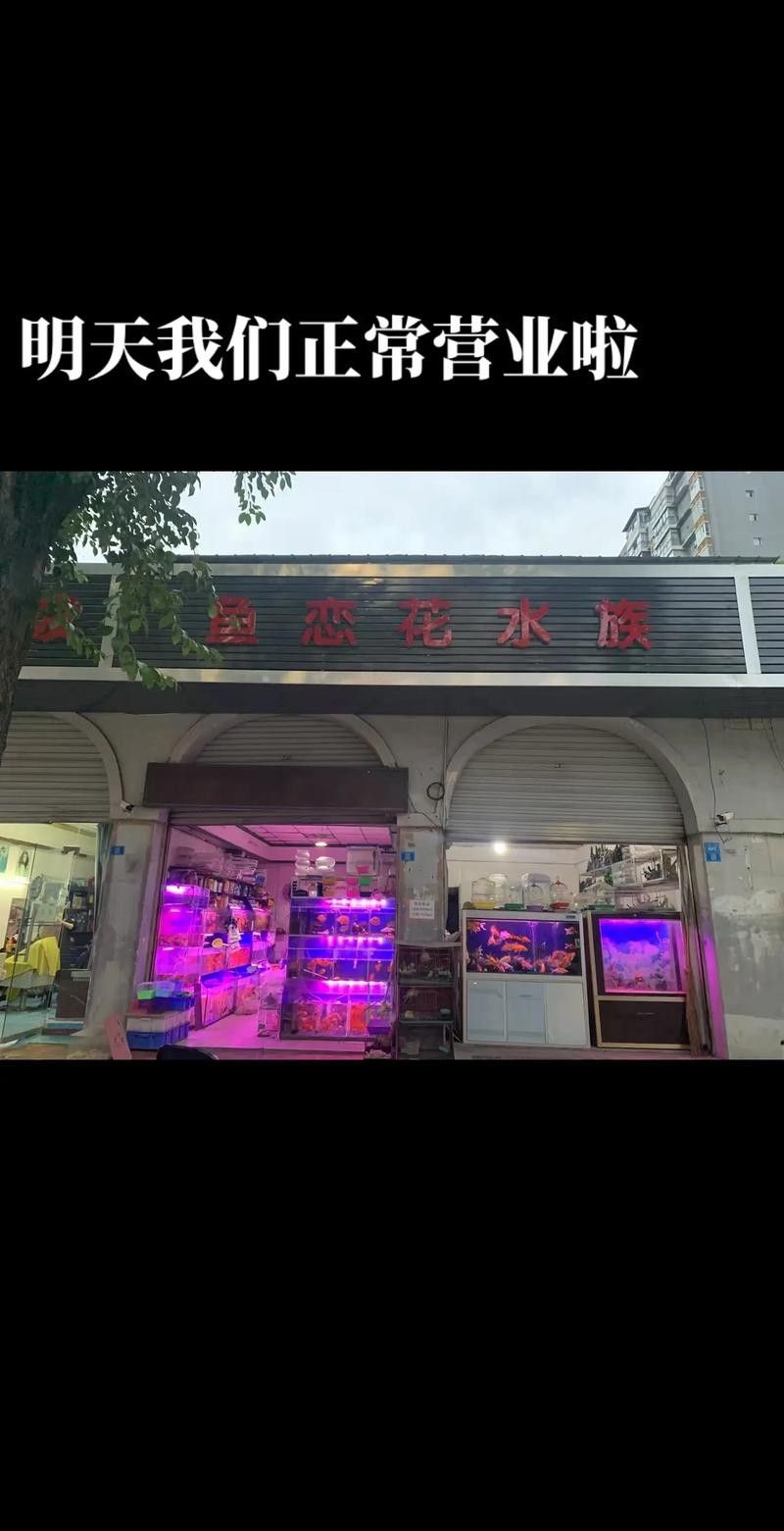 閬中開水族店怎么樣？加盟祥龍魚場賣龍魚市場怎樣？