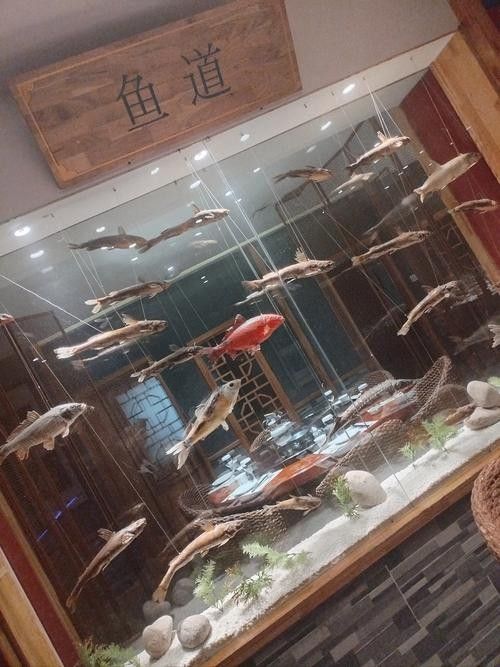 杏花嶺開水族店怎么樣？加盟祥龍魚場賣龍魚市場怎樣？