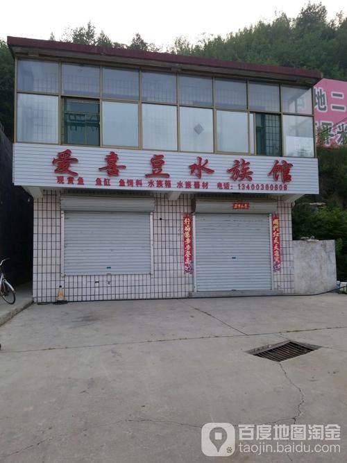 阜平開水族店怎么樣？加盟祥龍魚場賣龍魚市場怎樣？
