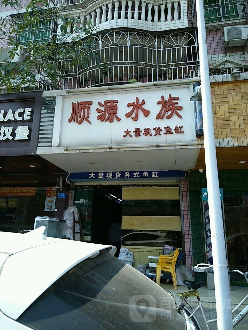寶安開水族店怎么樣？加盟祥龍魚場賣龍魚市場怎樣？