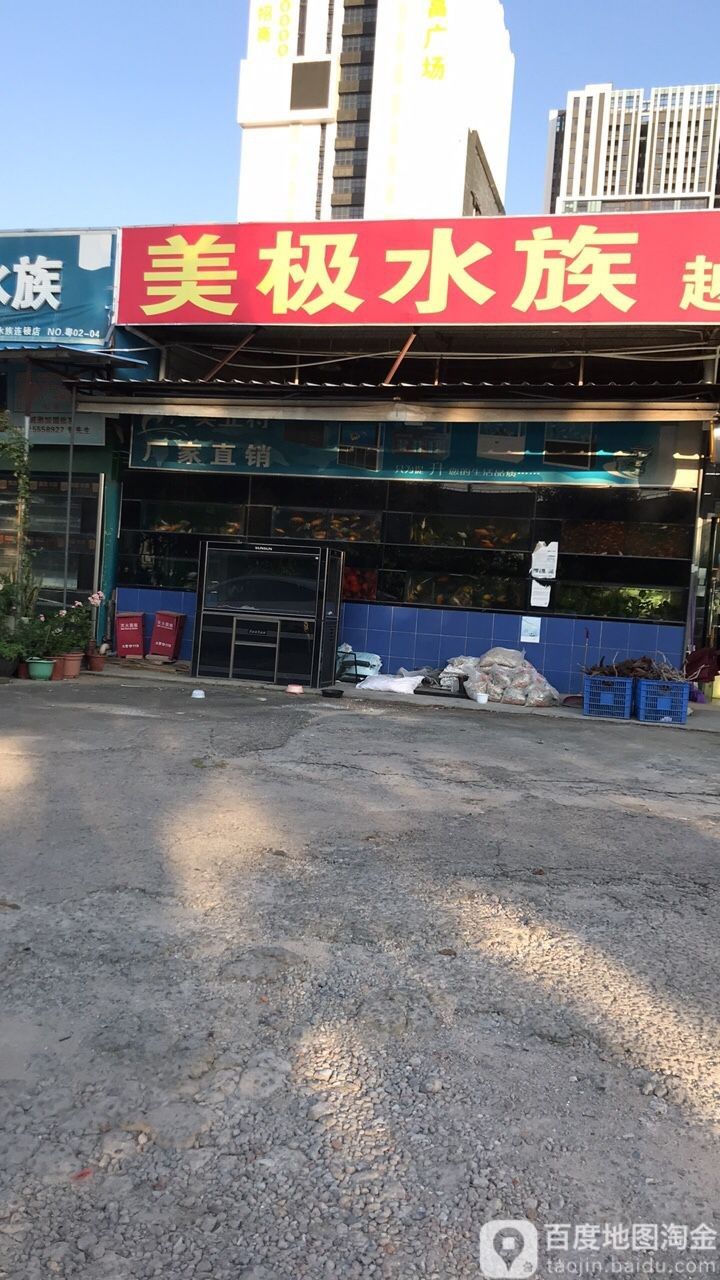 寶安開水族店怎么樣？加盟祥龍魚場賣龍魚市場怎樣？