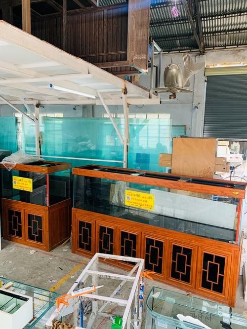 貴港開水族店怎么樣？加盟祥龍魚場賣龍魚市場怎樣？