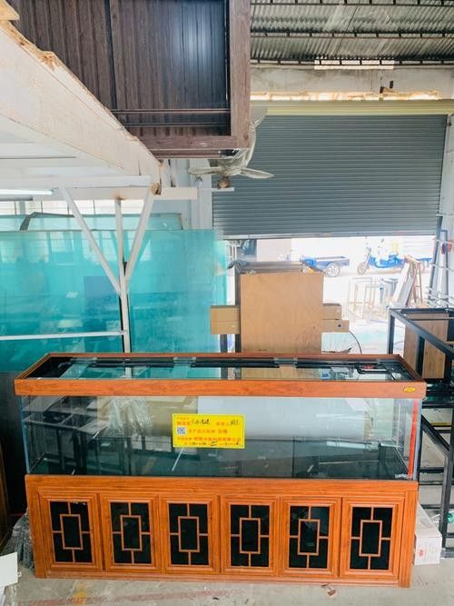 貴港開水族店怎么樣？加盟祥龍魚場賣龍魚市場怎樣？