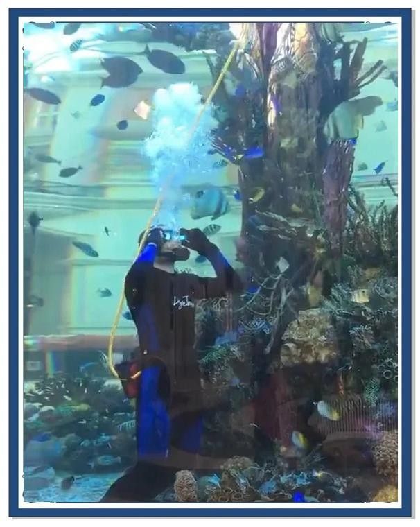 澳門開水族店怎么樣？加盟祥龍魚場賣龍魚市場怎樣？