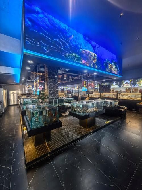 沙雅開水族店怎么樣？加盟祥龍魚場賣龍魚市場怎樣？