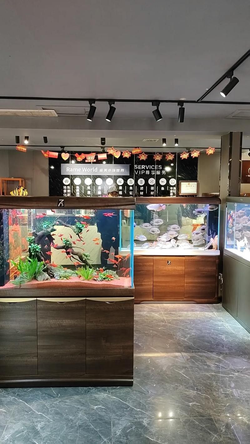 孝昌開水族店怎么樣？加盟祥龍魚場賣龍魚市場怎樣？