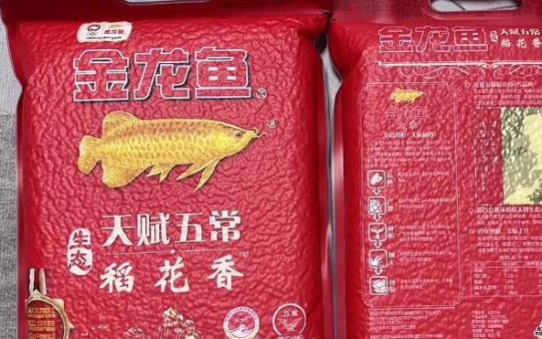 世界上最貴的觀賞魚，天價(jià)血紅龍魚被日本人買走