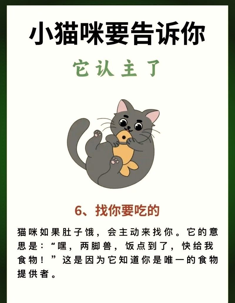 龍貓認主后有哪些表現？