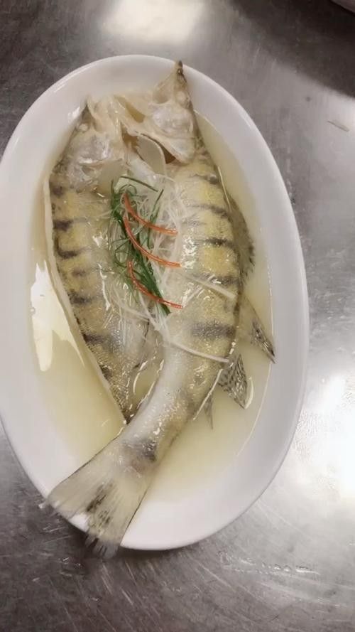 雪龍魚價(jià)格多少錢一只圖片