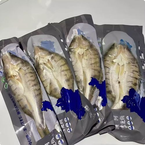 雪龍魚價(jià)格多少錢一只圖片