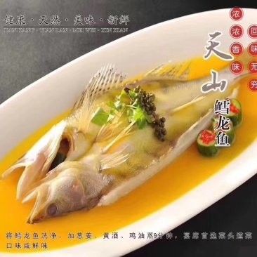雪龍魚價(jià)格多少錢一只圖片