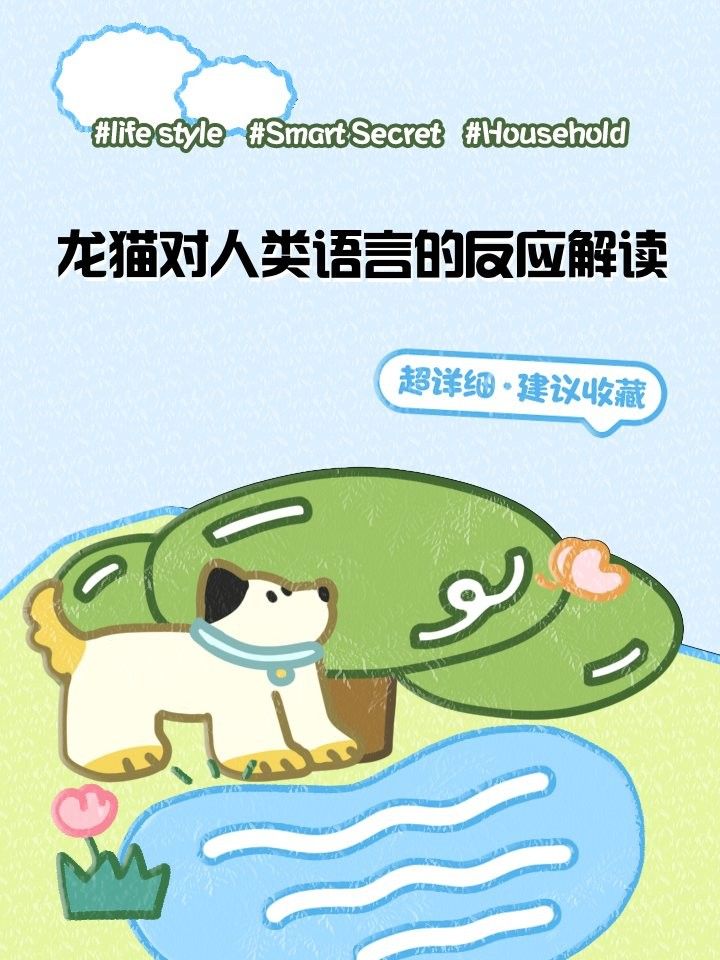 龍貓能理解哪些手勢？