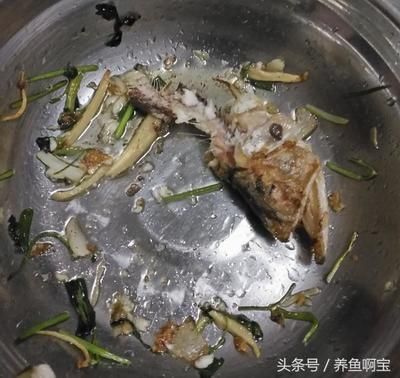 金龍魚好吃嗎能吃嗎：金龍魚好吃嗎？