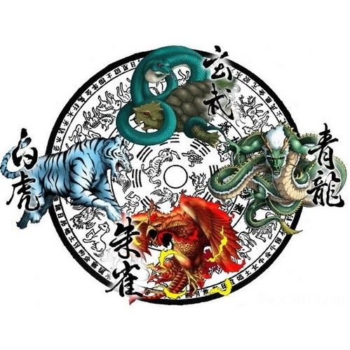 《風水青龍》有哪些看點？