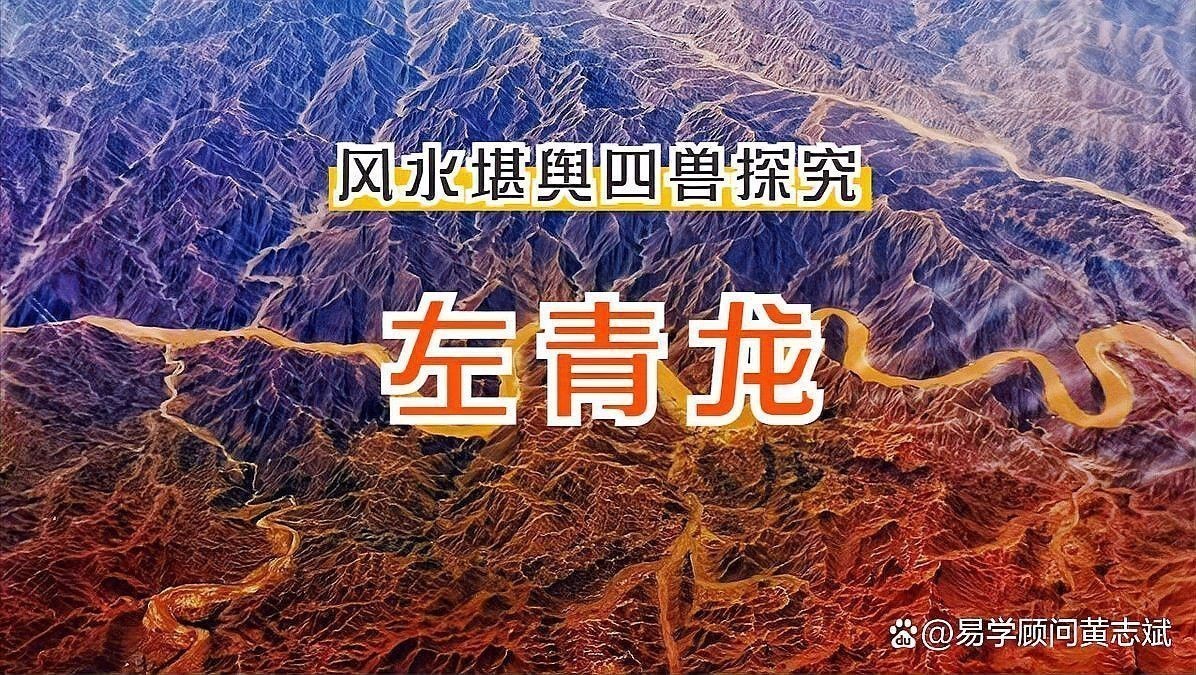 《風水青龍》有哪些看點？