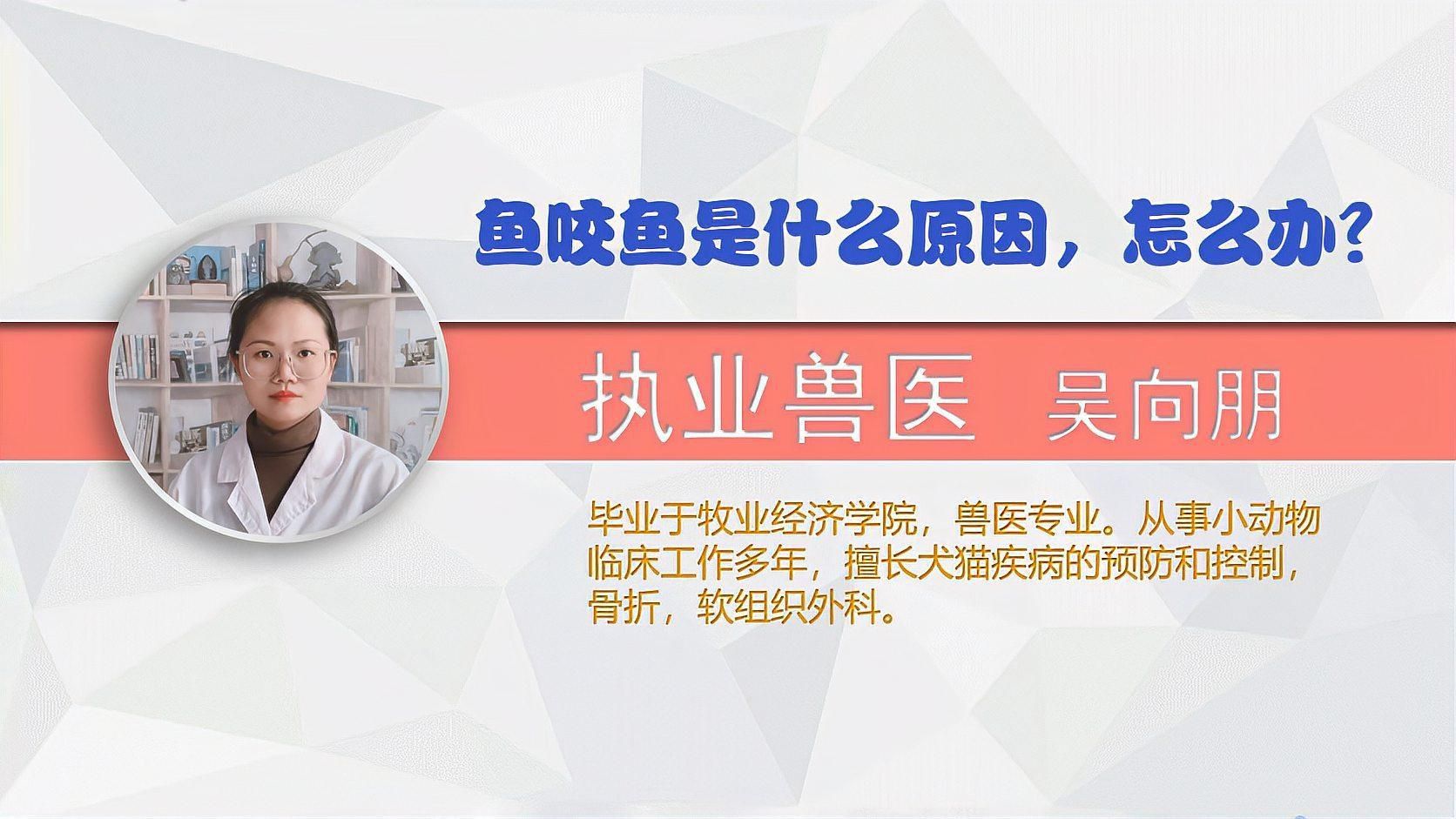 如何預防魚咬魚再次發生？