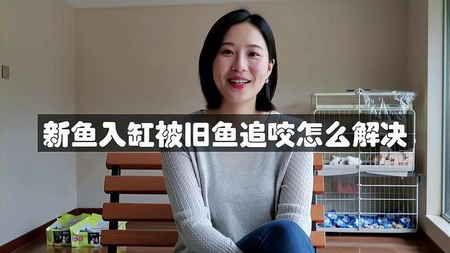 如何預防魚咬魚再次發生？