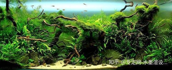 玻璃膠粘魚缸能用幾年壽命（魚缸密封膠日常維護方法）