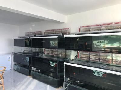 龍魚很久不吃食怎么辦：龍魚長時間不吃食可能由多種因素引起龍魚恢復食欲