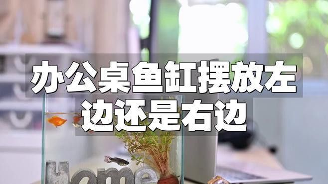 龍魚缸擺放位置有哪些禁忌