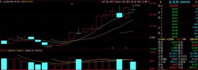 金龍魚背后的資本是高盛：16個月蒸發5400億