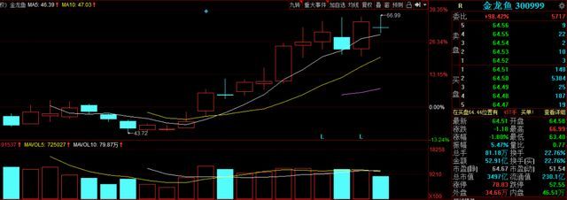 金龍魚背后的資本是高盛：16個月蒸發5400億