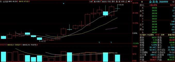 金龍魚背后的資本是高盛：16個月蒸發5400億