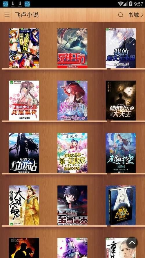 飛盧小說網(wǎng)下載《養(yǎng)龍》的具體步驟